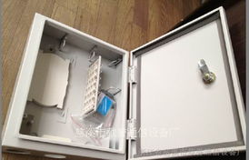 12芯光纖分纖箱 12芯光纖分纖箱 廠部?jī)r(jià)格